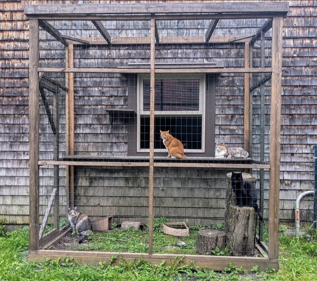 1422 Cabot Road Woodbury, VT 05681 - Photo 31 of 47