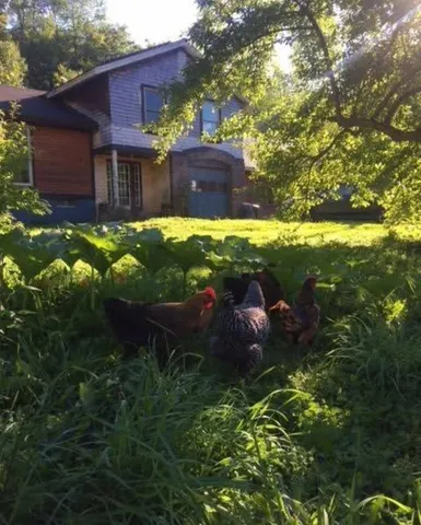 $399,000 | 1422 Cabot Road, Woodbury, VT 05681