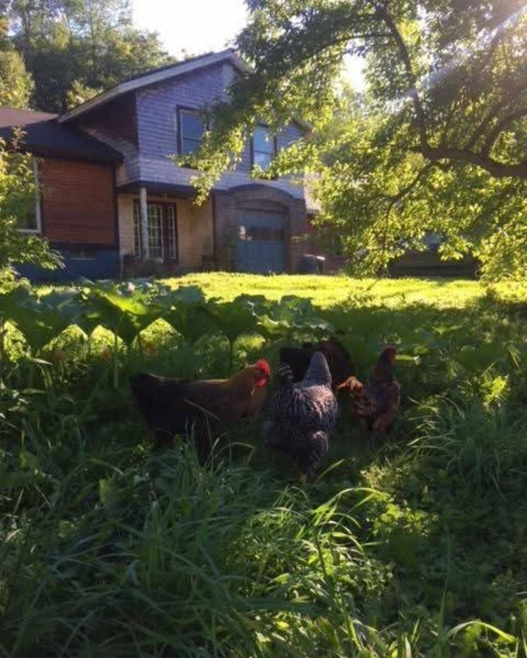 1422 Cabot Road Woodbury, VT 05681 - Photo 32 of 47