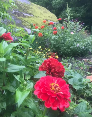 $389,000 | 1422 Cabot Road, Woodbury, VT 05681