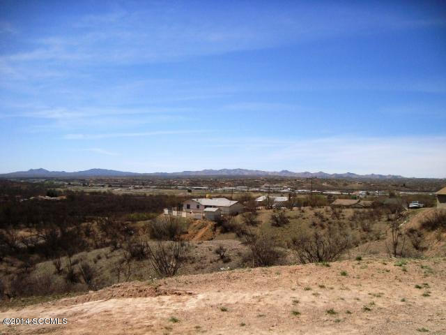 64 Camino Pesqueira Rio Rico, AZ 85648 - Photo 10 of 10 a view of a city