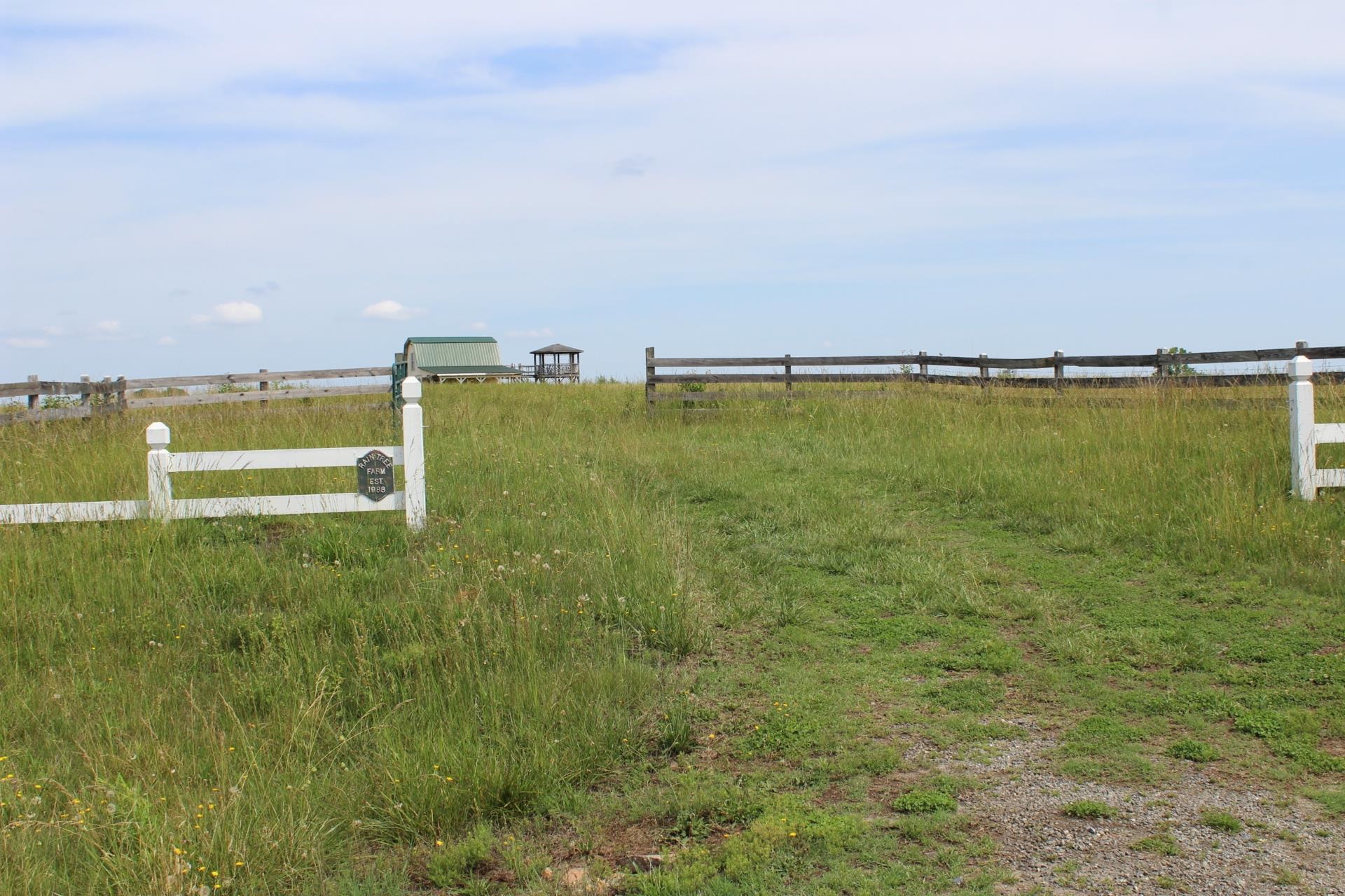 Lot 3 Ted Smith Road Rutherfordton, NC 28139 - Photo 5 of 19