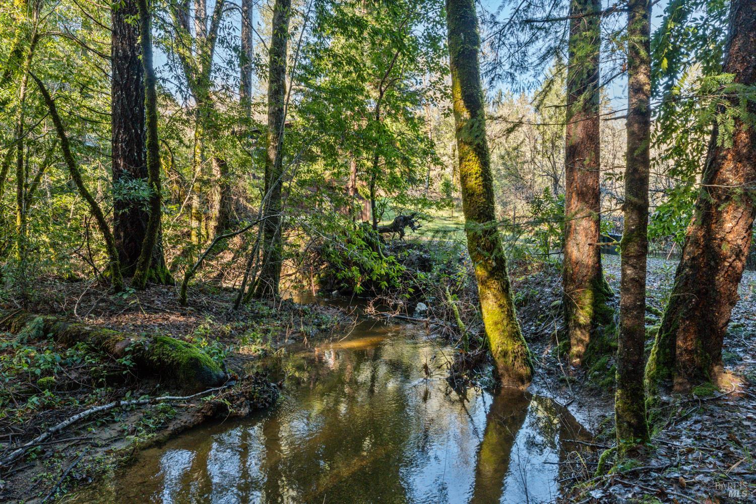 681 Branscomb Road Laytonville, CA 95454 - Photo 20 of 27 a backyard of a house with a yard and lake view