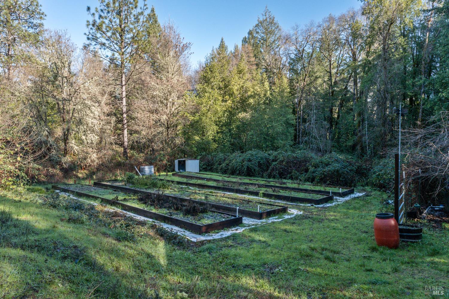 681 Branscomb Road Laytonville, CA 95454 - Photo 26 of 27 a view of a field of grass and trees