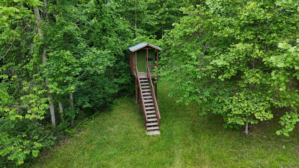 1320 Horseshoe Point Road Henry, VA 24102 - Photo 79 of 85 Tree Stand