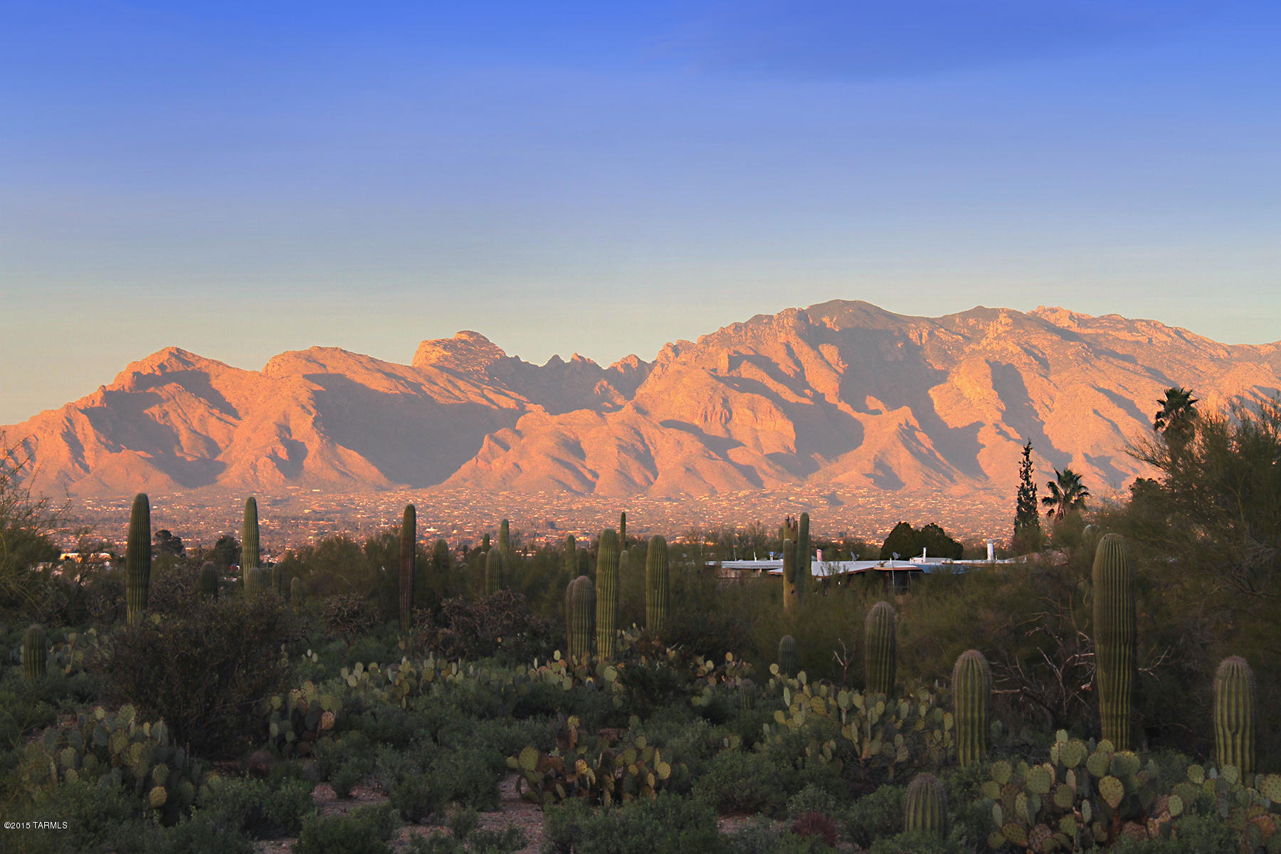 2402 North Grannen Road Tucson, AZ 85745 - Photo 1 of 26 Gallery Image 1