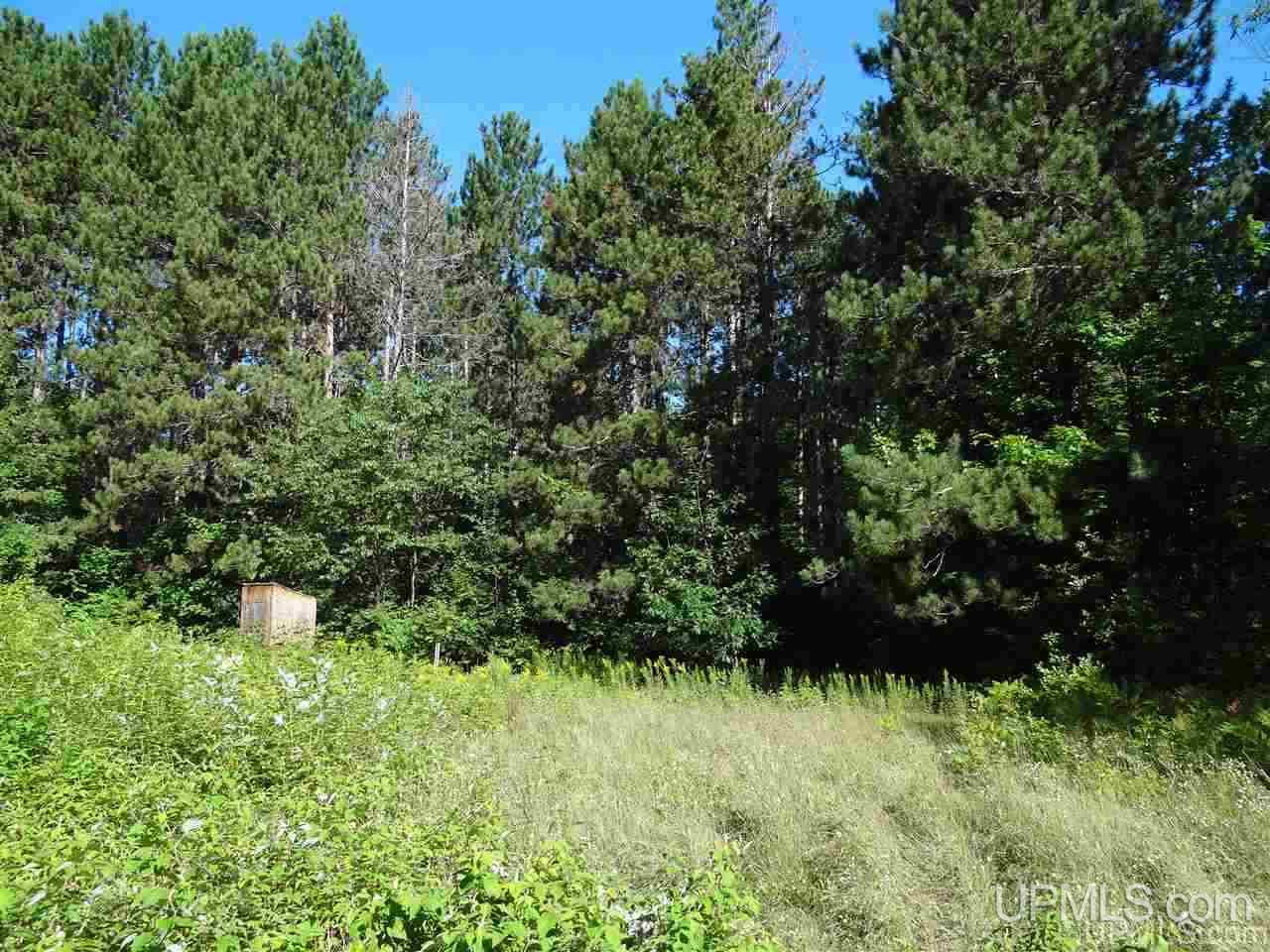 21660 Newberry Road Pelkie, MI 49958 - Photo 21 of 40