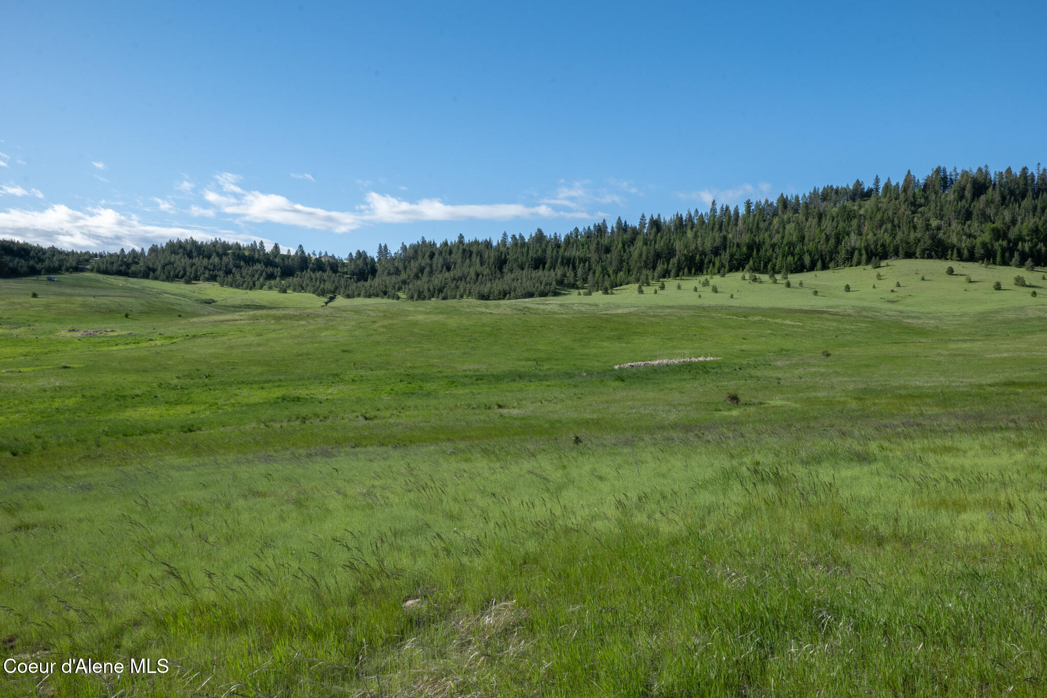 1047 Merideth Road Plummer, ID 83851 - Photo 28 of 49 NWLL Plummer_Parcel D-05