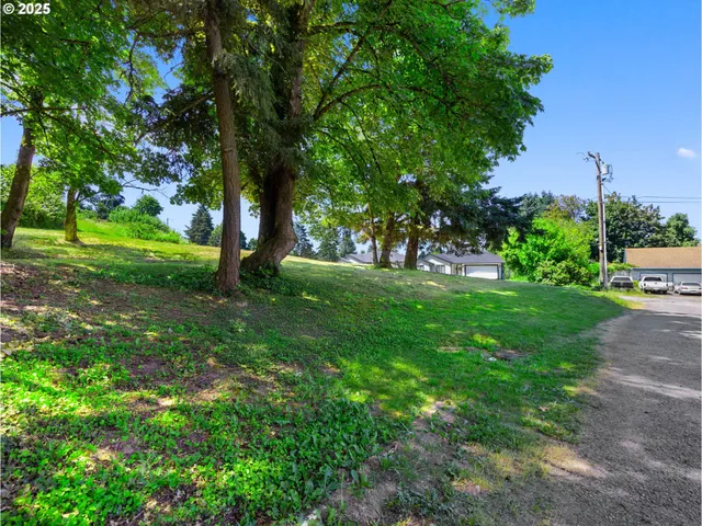 a view of green field with trees