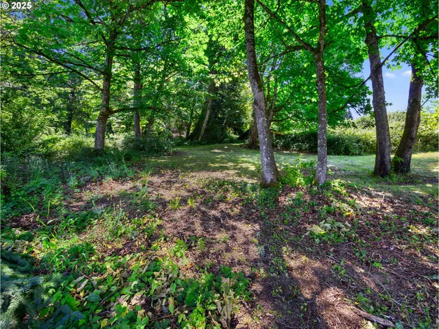 a view of backyard with green space