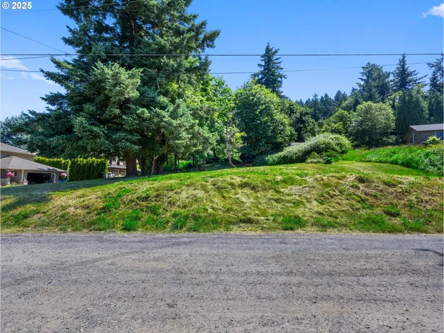a view of a yard with potted plants and large trees