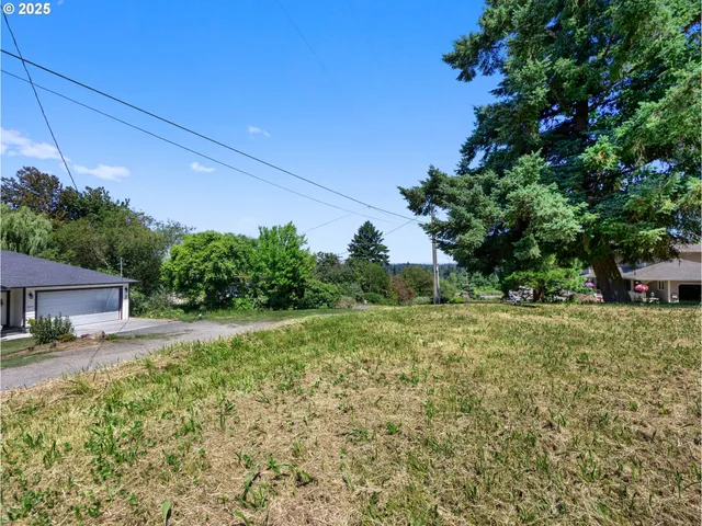 a view of a yard with a house