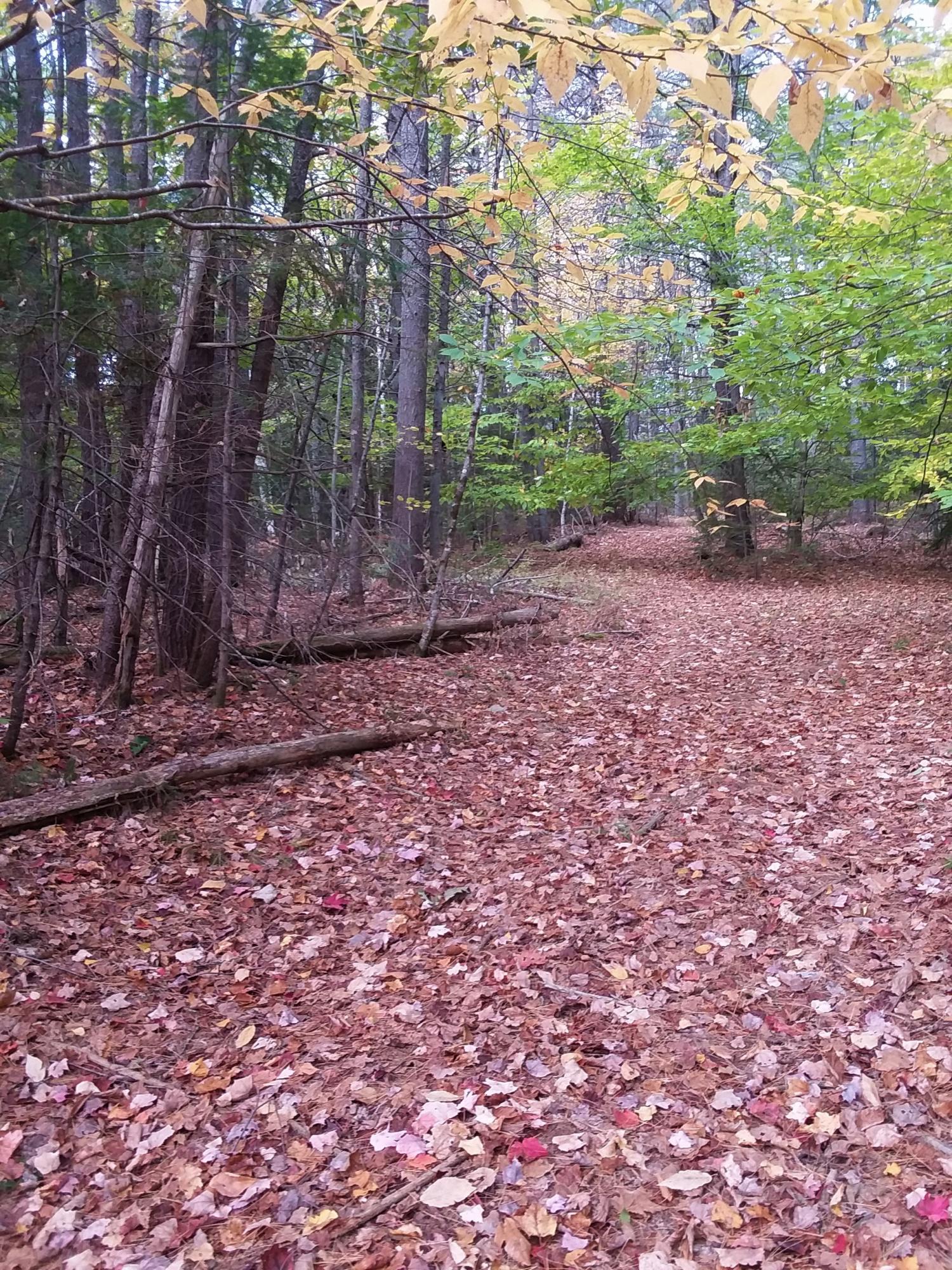 Mapr6-lot25 Harrison Road Norway, ME 04268 - Photo 1 of 5 20201010_111125