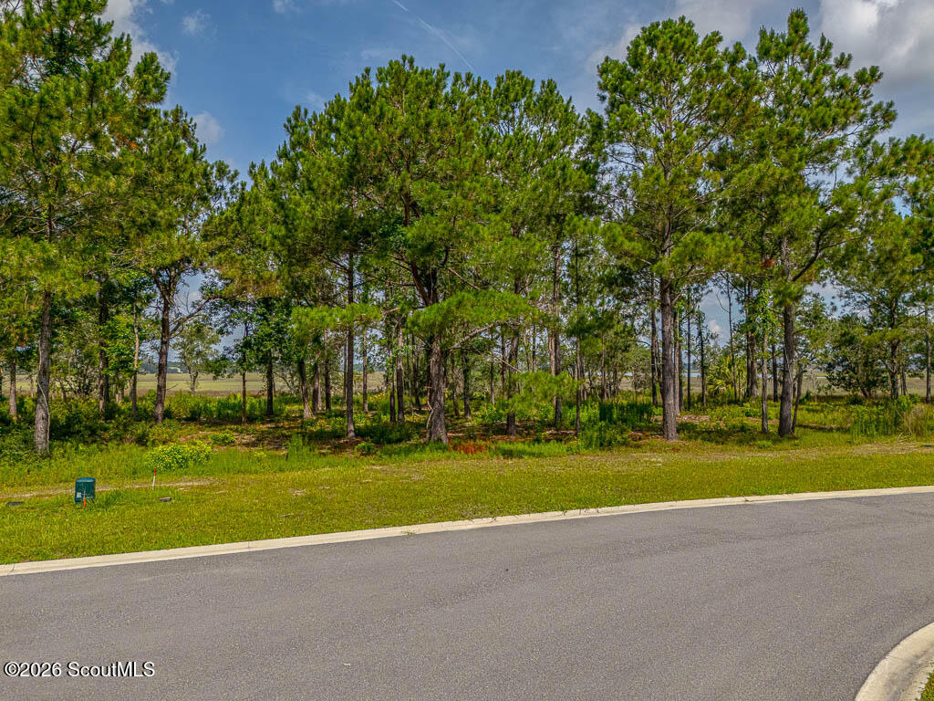 Lot 98 Wards Way Waverly, GA 31565 - Photo 4 of 20