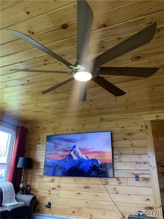 376 Highway 34 Hannibal, NY 13111 - Photo 26 of 50