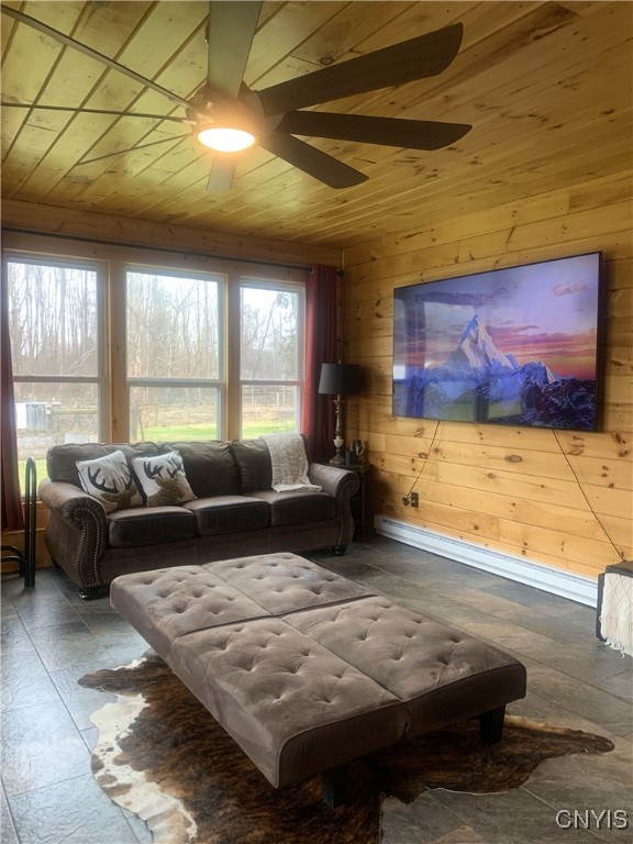 376 Highway 34 Hannibal, NY 13111 - Photo 30 of 50