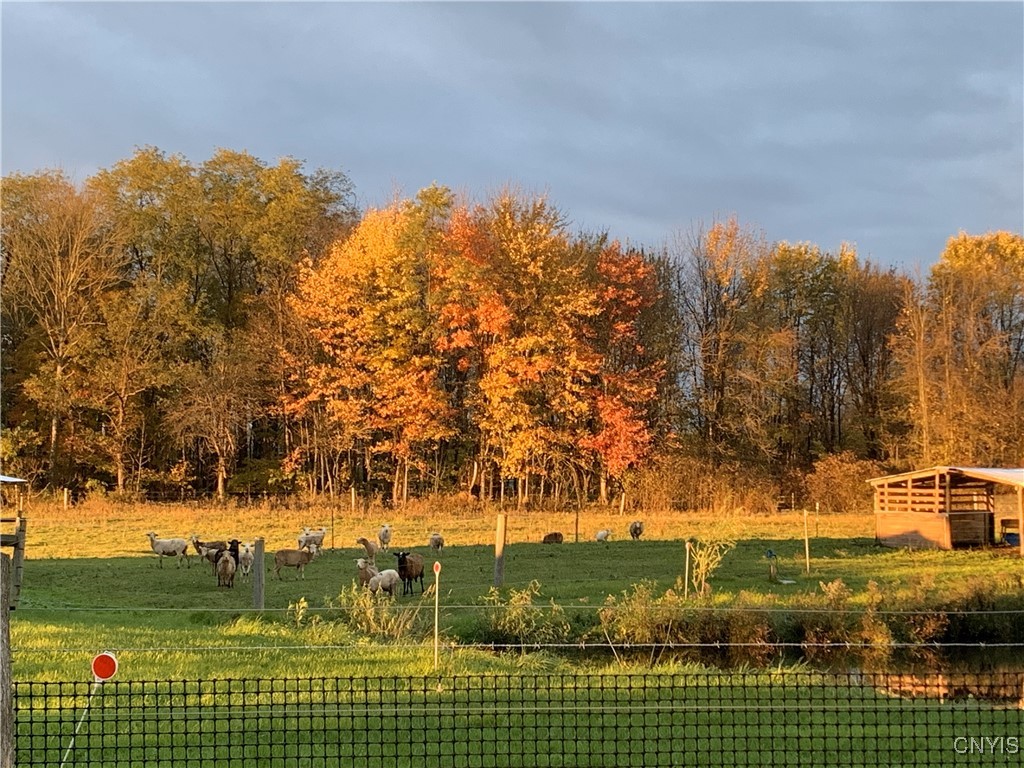 376 Highway 34 Hannibal, NY 13111 - Photo 39 of 50