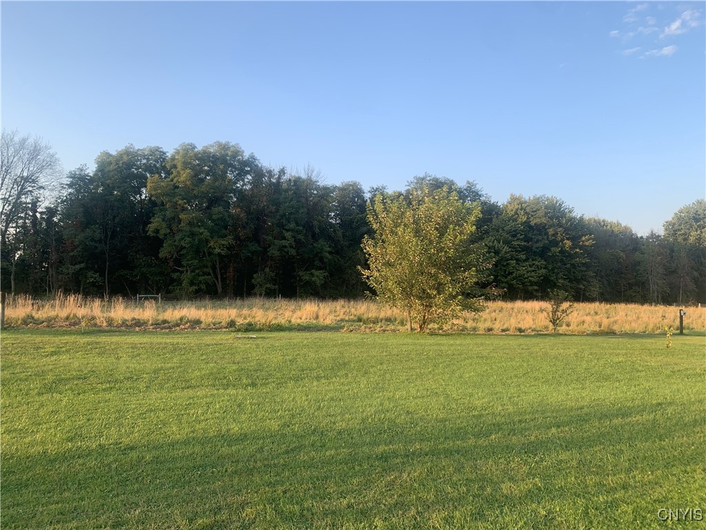 376 Highway 34 Hannibal, NY 13111 - Photo 40 of 50