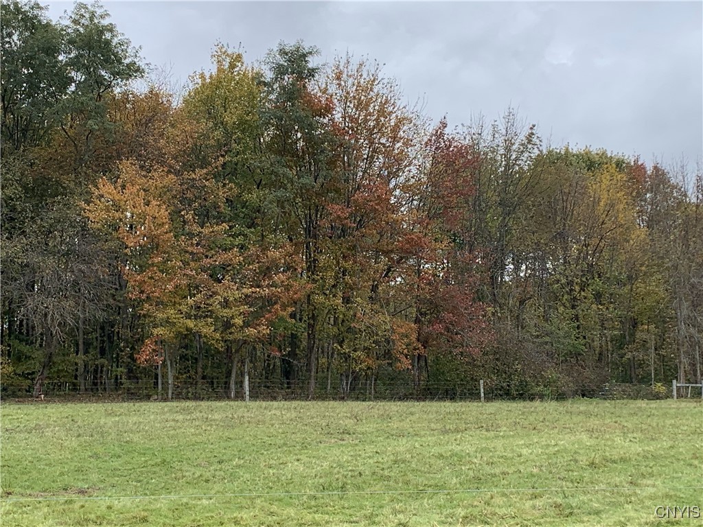 376 Highway 34 Hannibal, NY 13111 - Photo 41 of 50