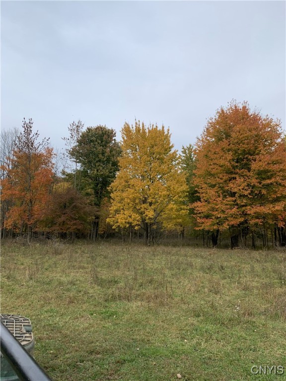 376 Highway 34 Hannibal, NY 13111 - Photo 42 of 50