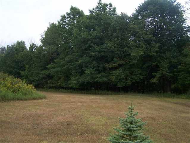 7718 Comstock Road Avoca, MI 48006 - Photo 4 of 15 31070161-3.JPG