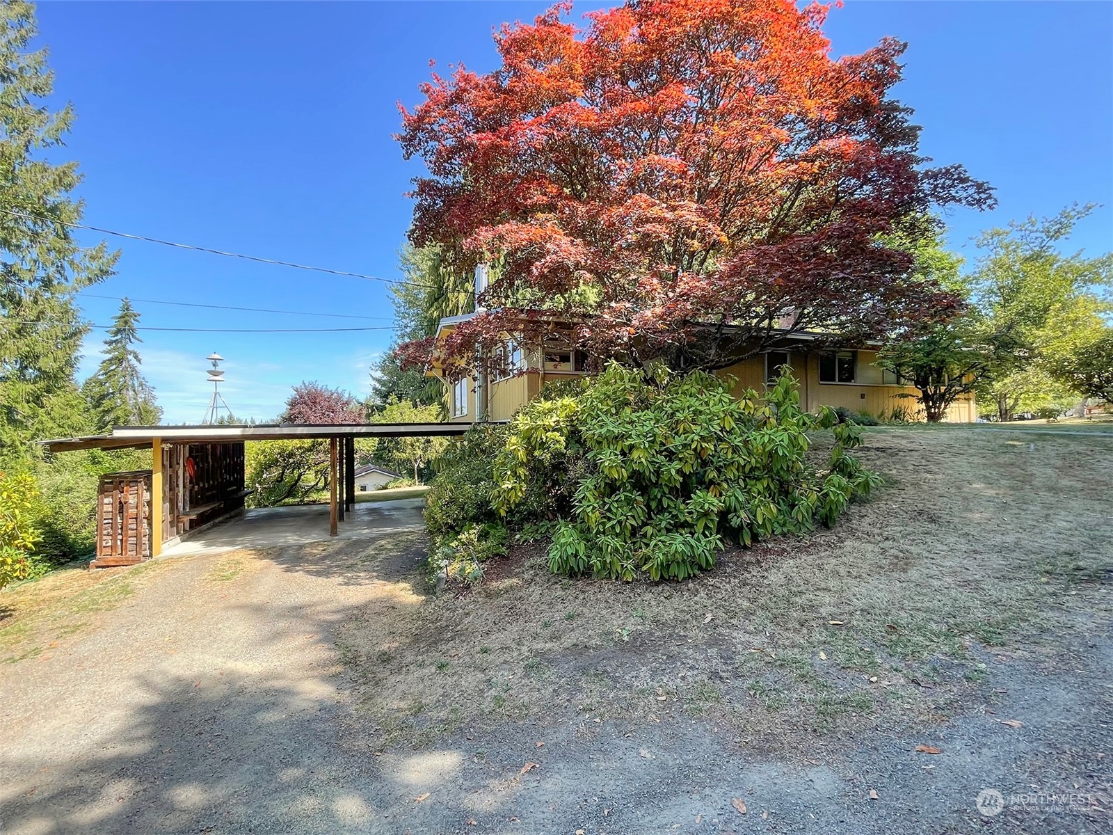 4217 South Bean Road Port Angeles, WA 98363 - Photo 3 of 40 a view of house with backyard and trees