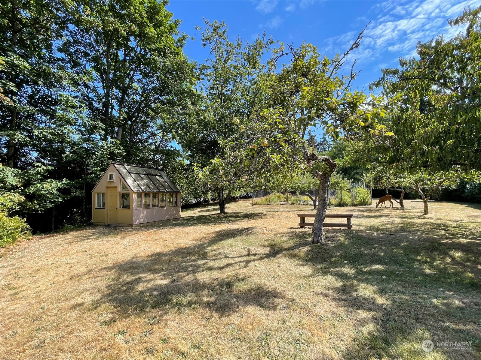 4217 South Bean Road Port Angeles, WA 98363 - Photo 31 of 40 a view of a yard with a tree