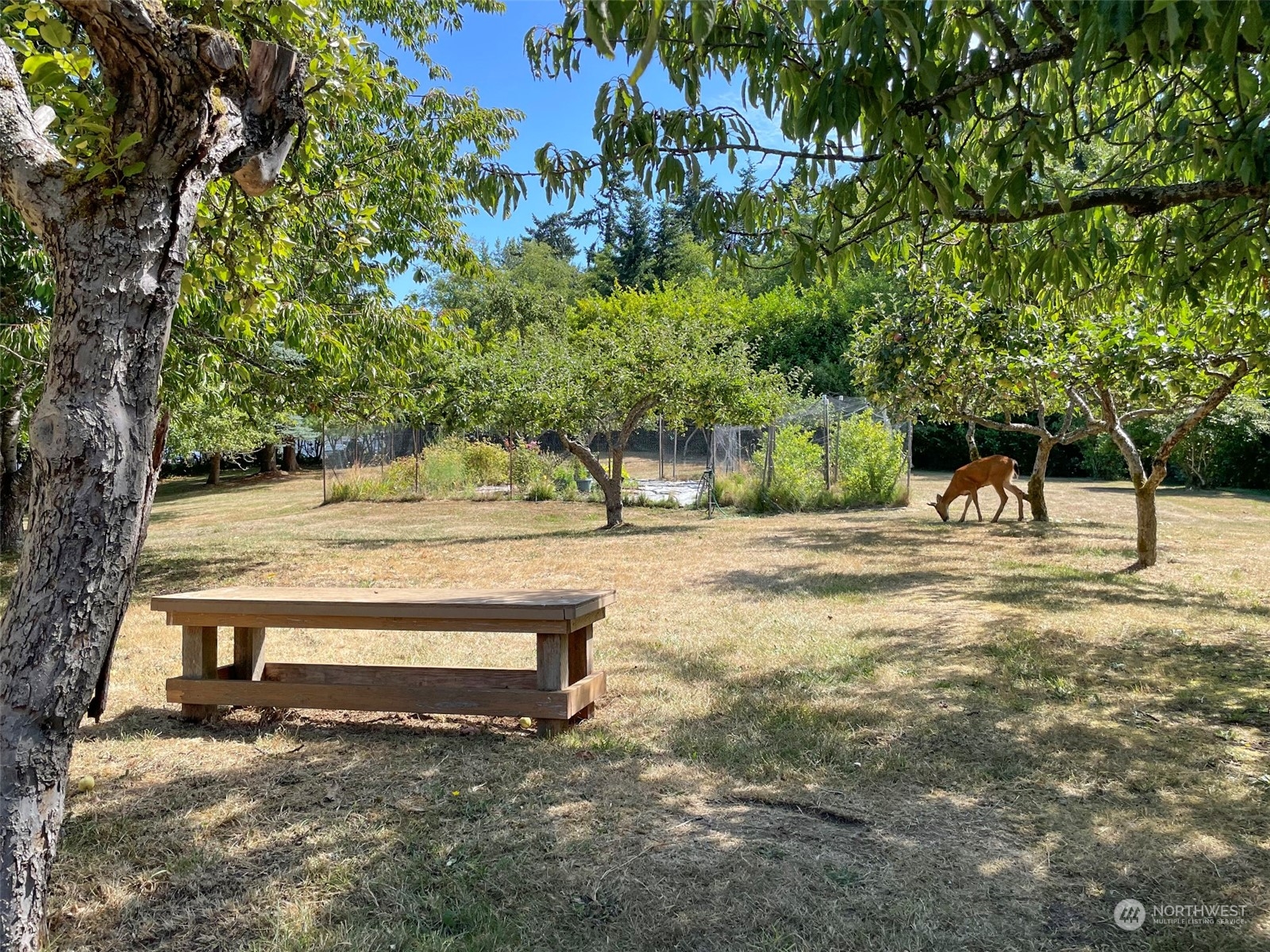 4217 South Bean Road Port Angeles, WA 98363 - Photo 32 of 40 a view of park benches