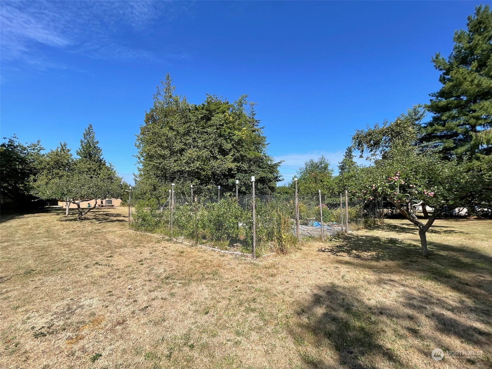 4217 South Bean Road Port Angeles, WA 98363 - Photo 33 of 40 a view of outdoor space with green space