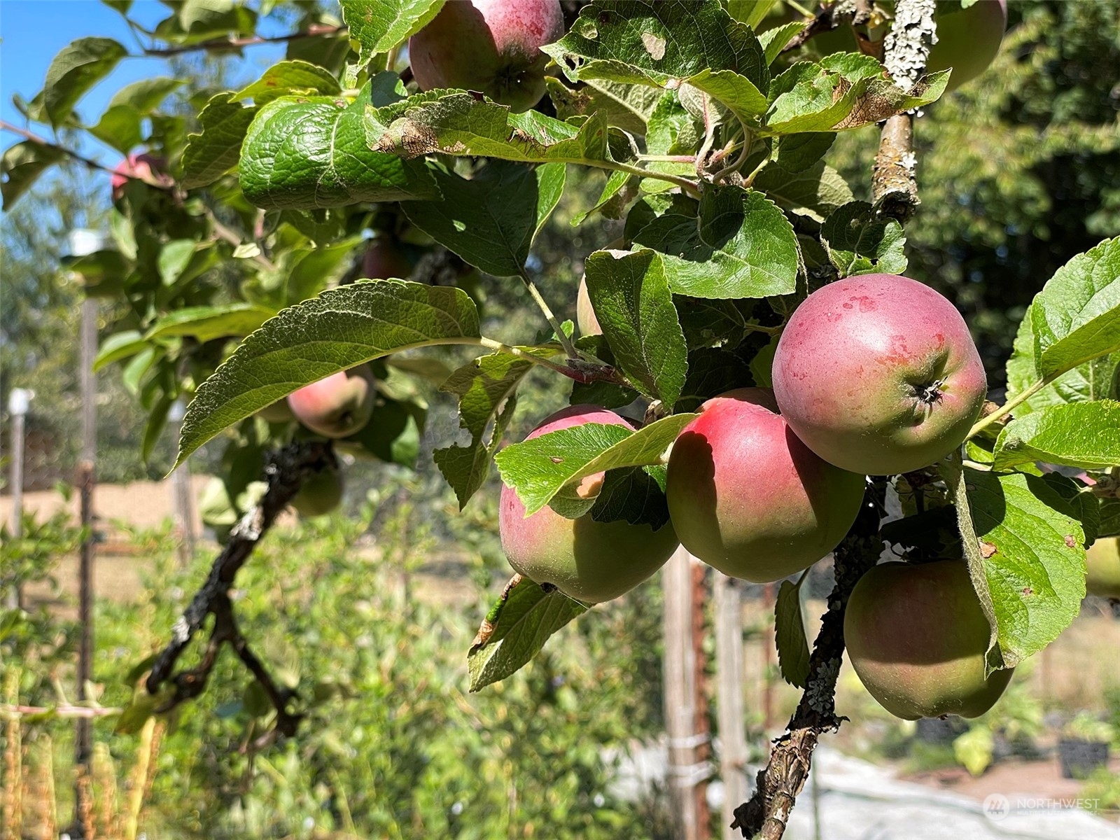 4217 South Bean Road Port Angeles, WA 98363 - Photo 38 of 40