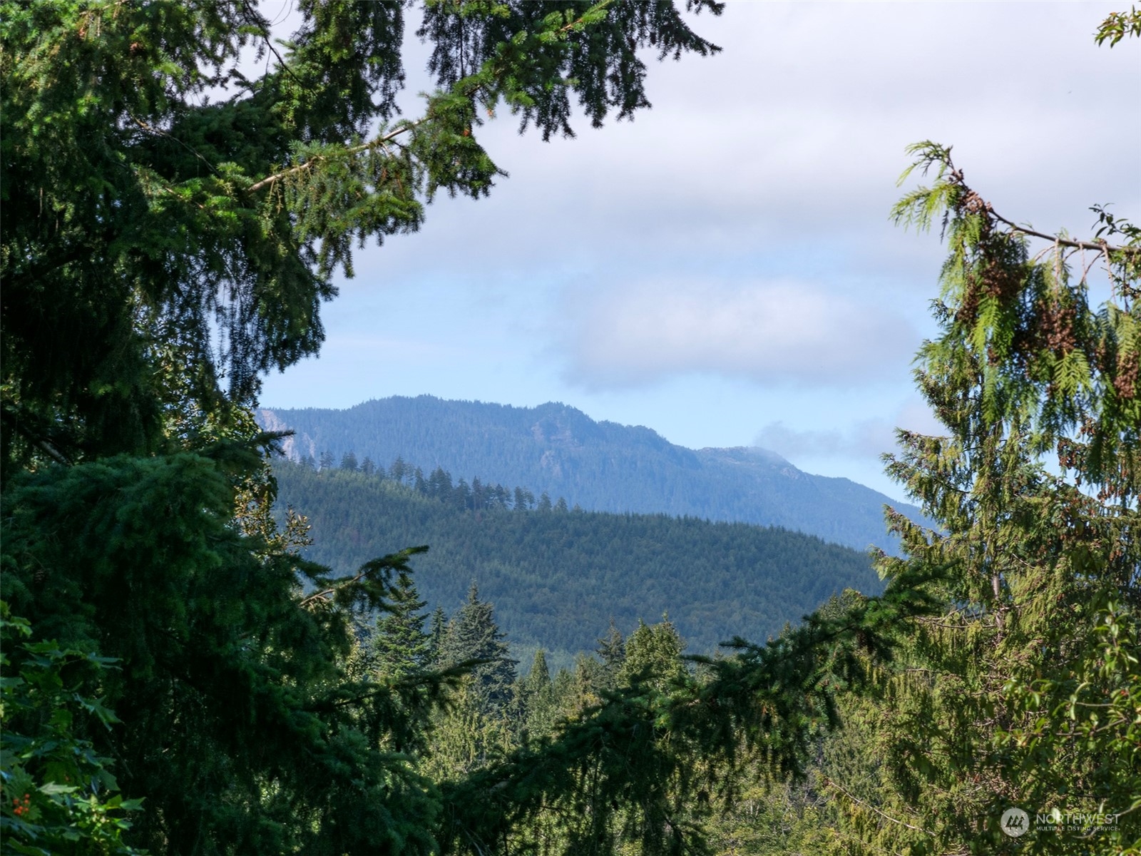 4217 South Bean Road Port Angeles, WA 98363 - Photo 9 of 40