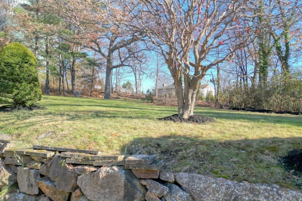 48 Conrad Street Braintree, MA 02184 - Photo 34 of 36 a view of a yard with an trees