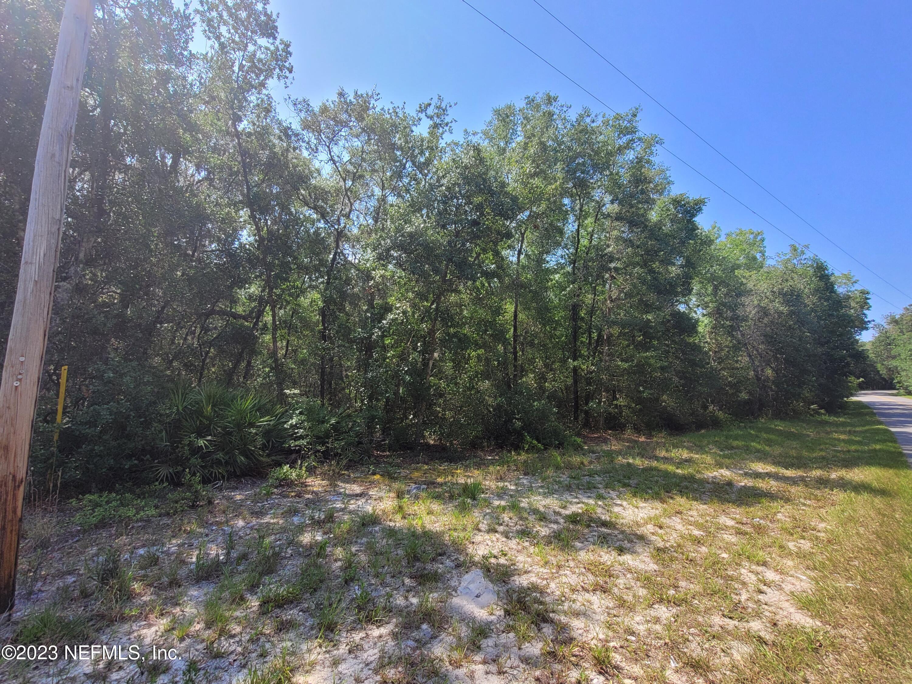 256 Brown Hammock Road Crescent City, FL 32112 - Photo 2 of 7 20230606_104423