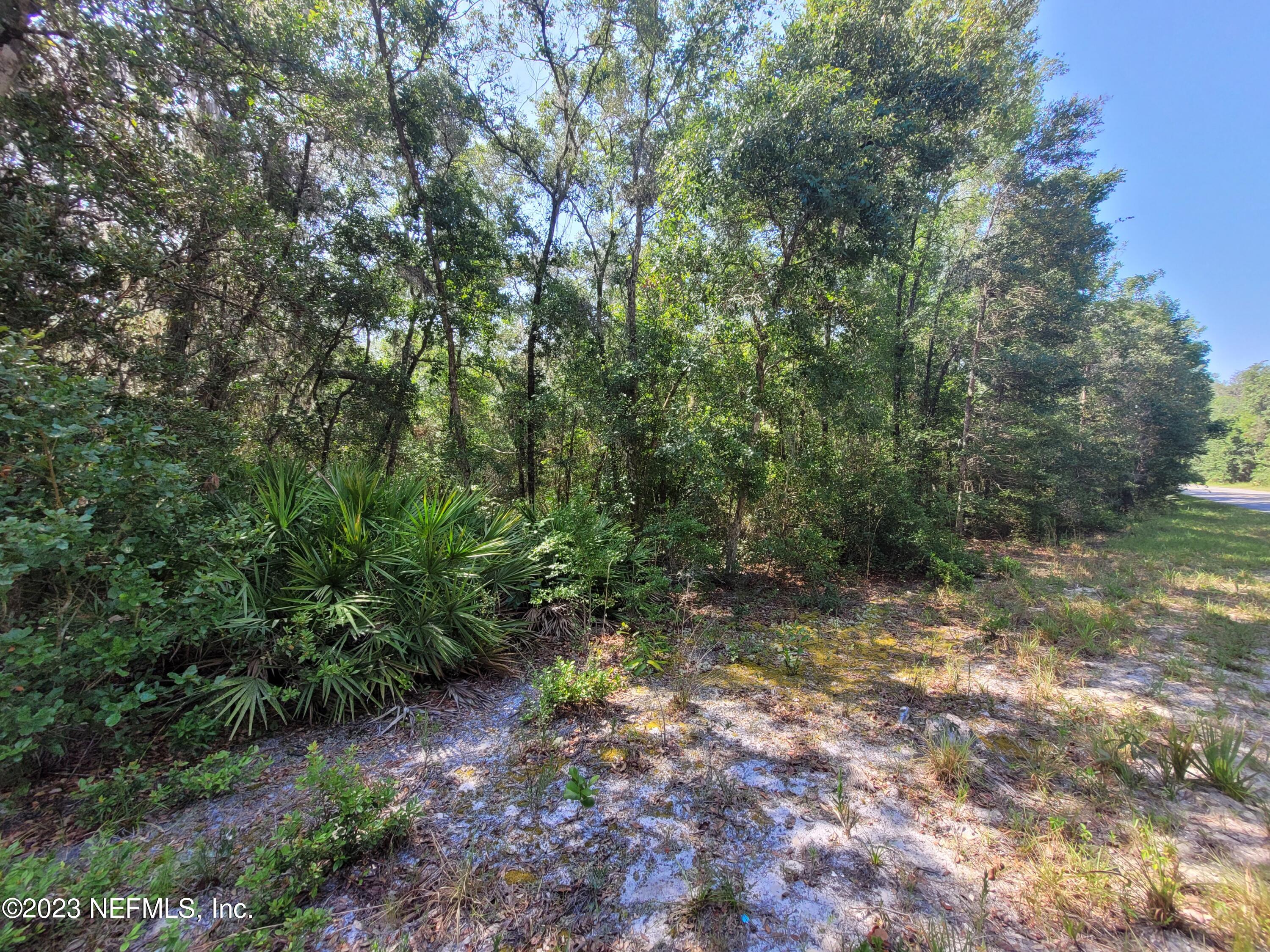 256 Brown Hammock Road Crescent City, FL 32112 - Photo 4 of 7 20230606_104525