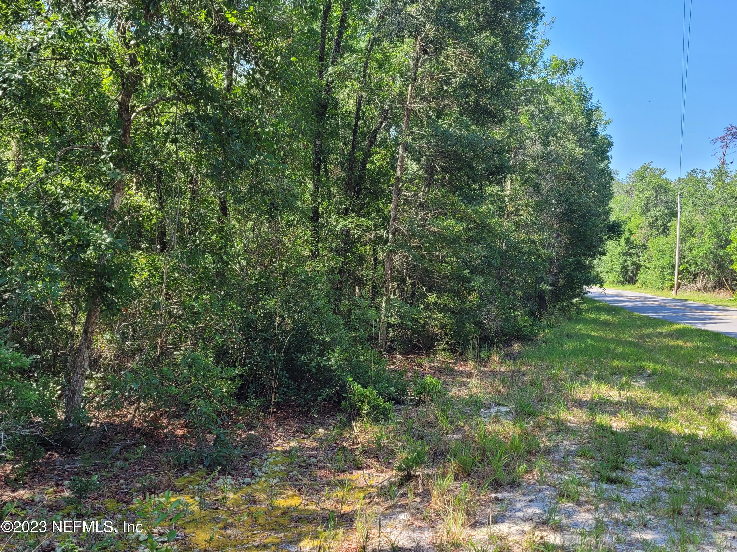 256 Brown Hammock Road Crescent City, FL 32112 - Photo 5 of 7 20230606_104519