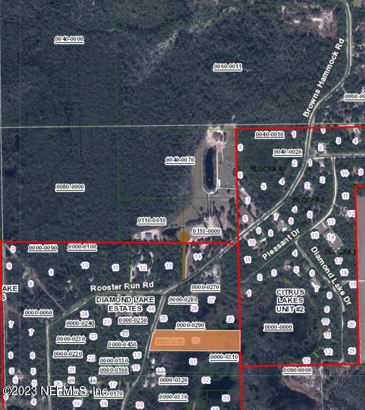 256 Brown Hammock Road Crescent City, FL 32112 - Photo 6 of 7 Screenshot 2023-06-06 163508