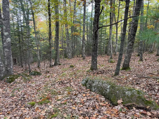 $495,000 | 63-3 Oak Grove Road, Mount Desert, ME 04660