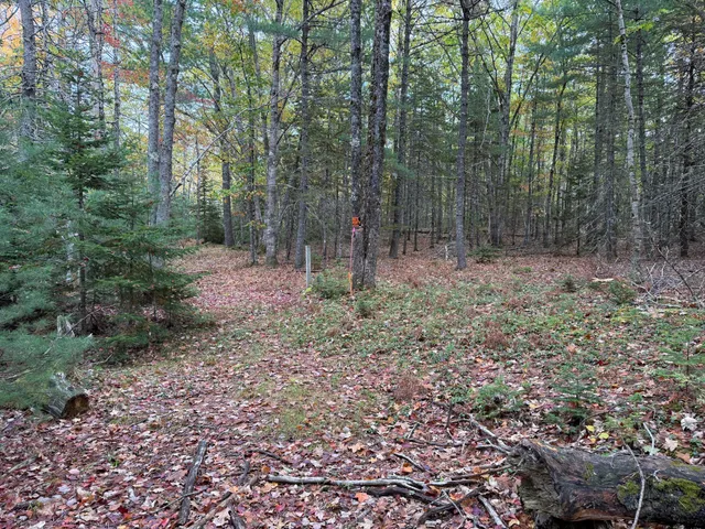 $495,000 | 63-3 Oak Grove Road, Mount Desert, ME 04660