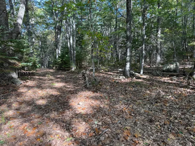 $495,000 | 63-3 Oak Grove Road, Mount Desert, ME 04660