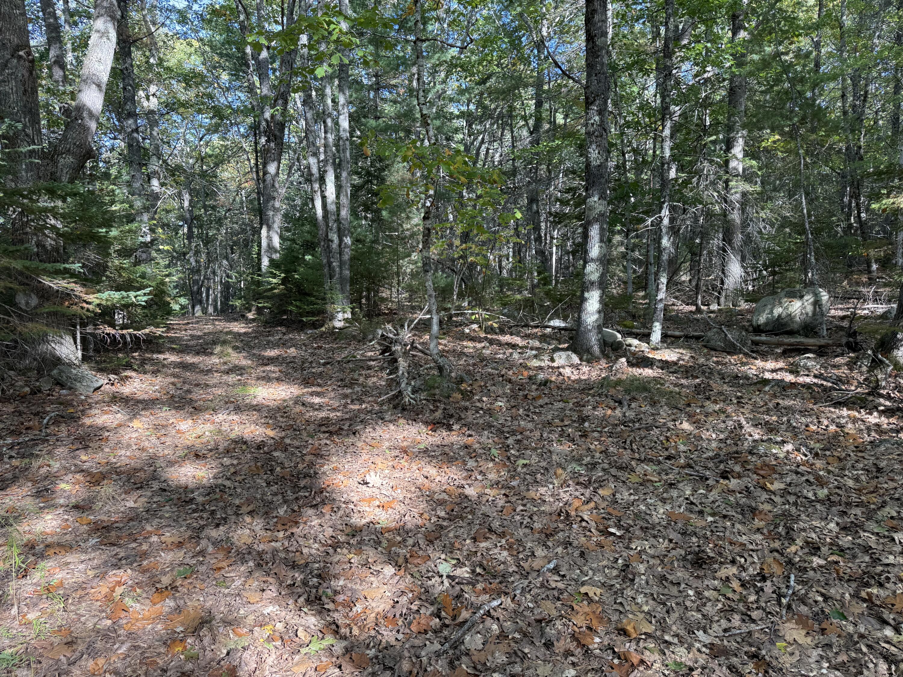 63-3 Oak Grove Road Mount Desert, ME 04660 - Photo 9 of 9 woods