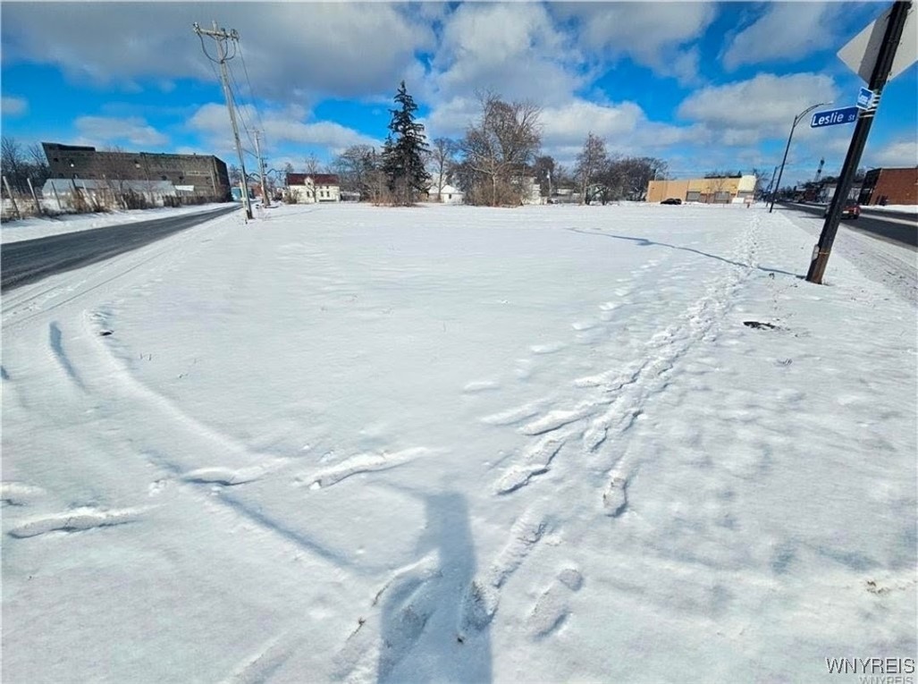 1718 Genesee Street Buffalo, NY 14211 - Photo 2 of 2