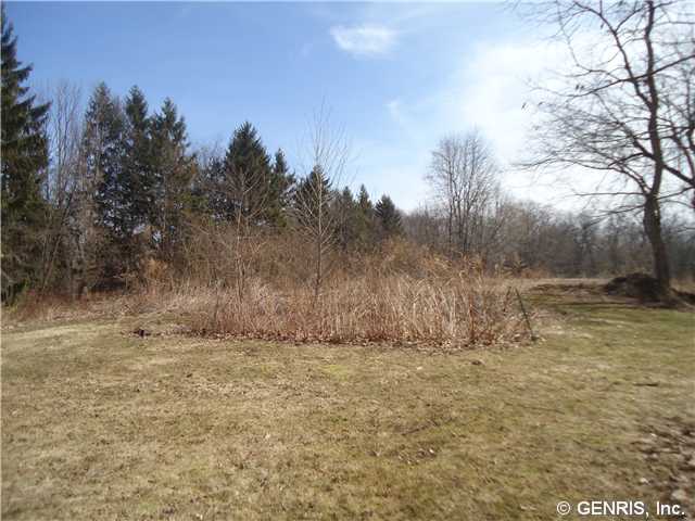 250 Basket Road Webster, NY 14580 - Photo 6 of 6 Backyard