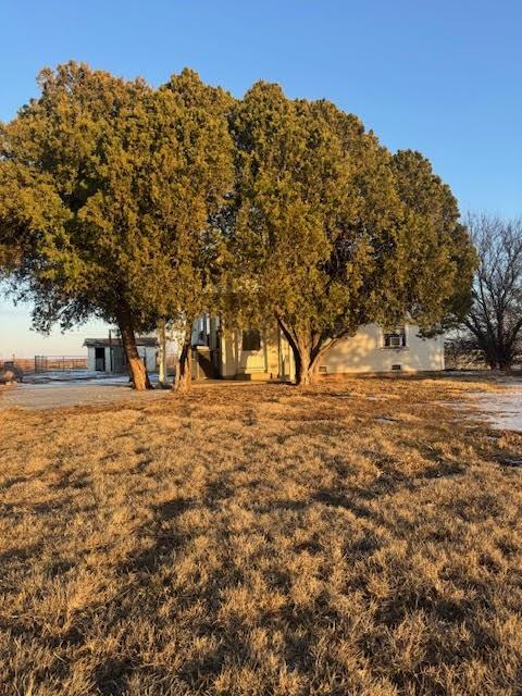1601 Peterson Road South Iowa Park, TX 76367 - Photo 3 of 13