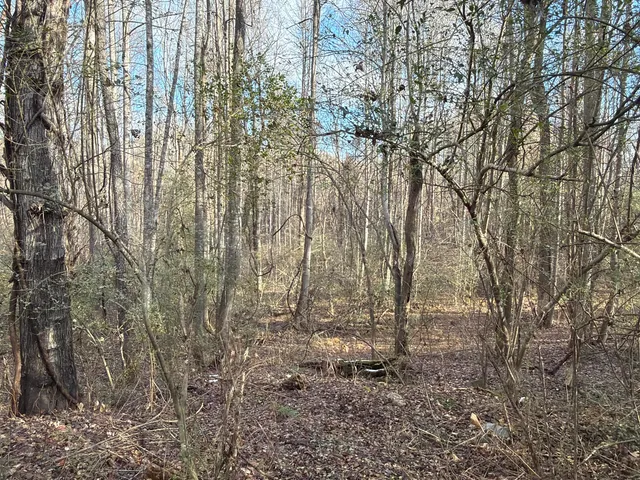 $29,900 | 3446 Spencer-Preston Road, Martinsville, VA 24112