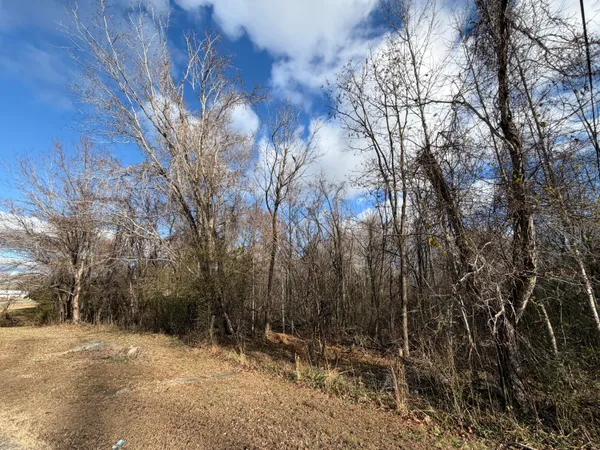 a view of road and trees