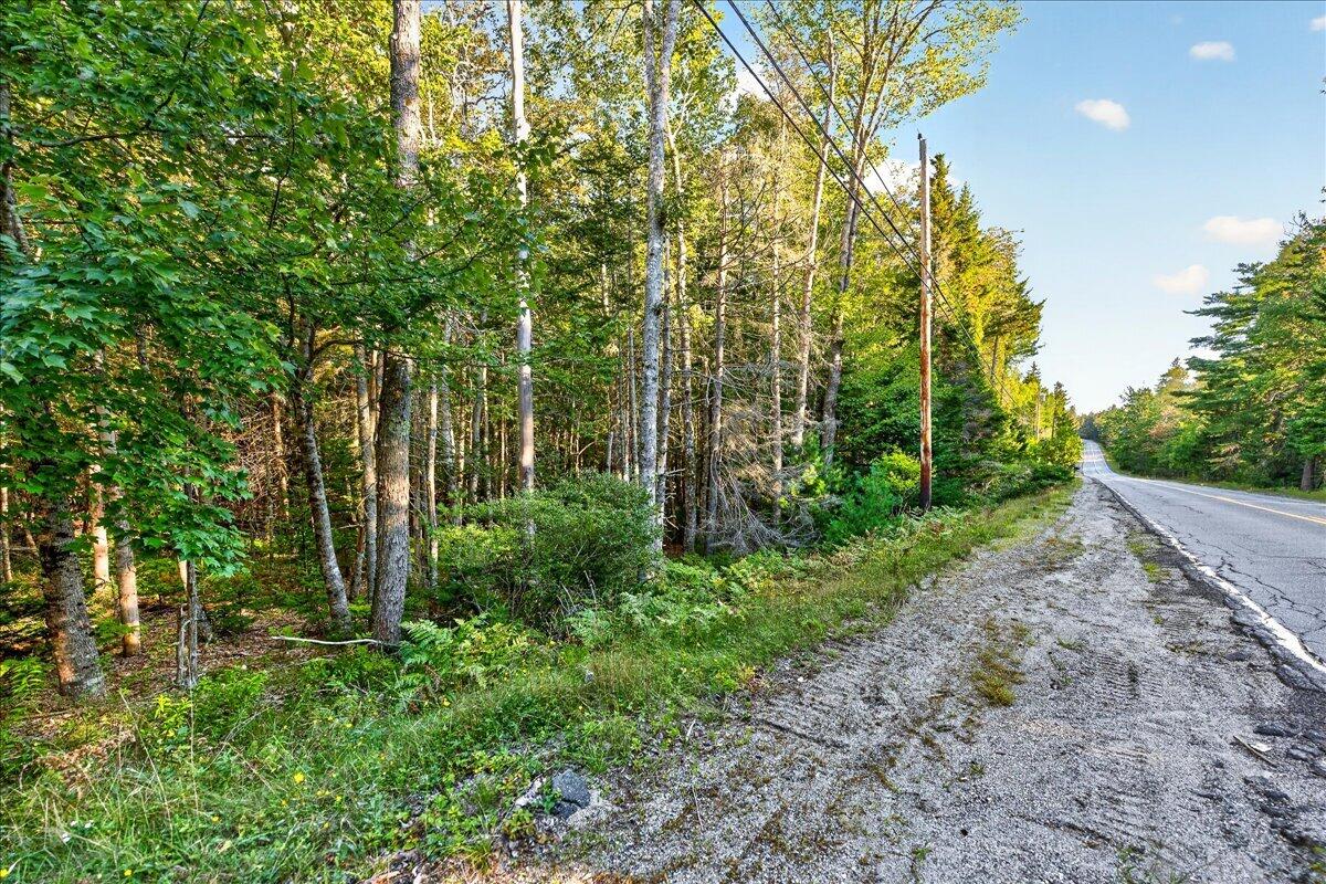 Tbd Pretty Marsh Road Mount Desert, ME 04660 - Photo 2 of 17 01-Pretty Marsh Rd.-18