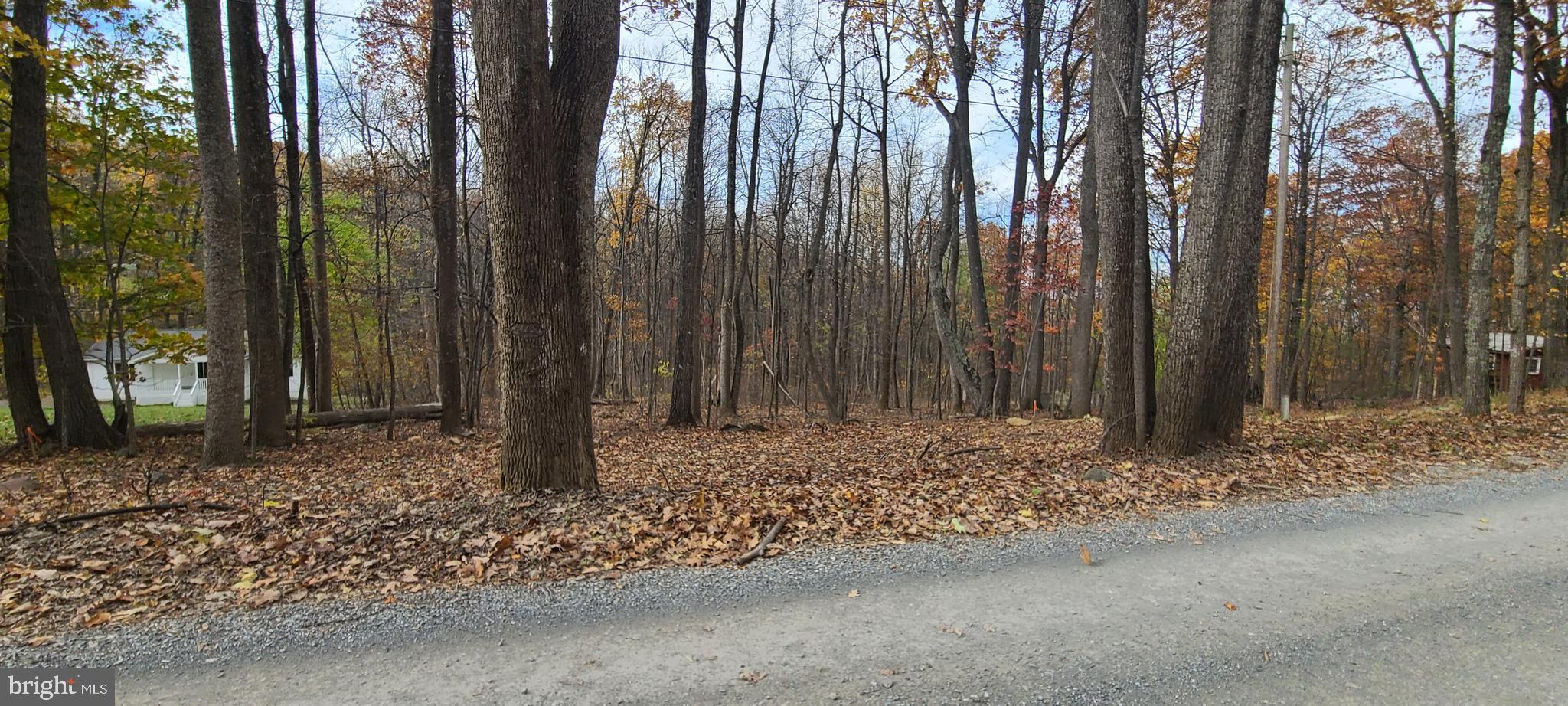 0 High Top Road Linden, VA 22642 - Photo 2 of 2 a view of a backyard with trees