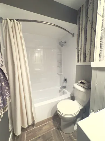 a bathroom with a toilet and a bathtub
