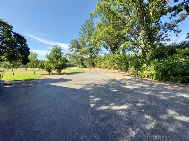 a view of road with large trees