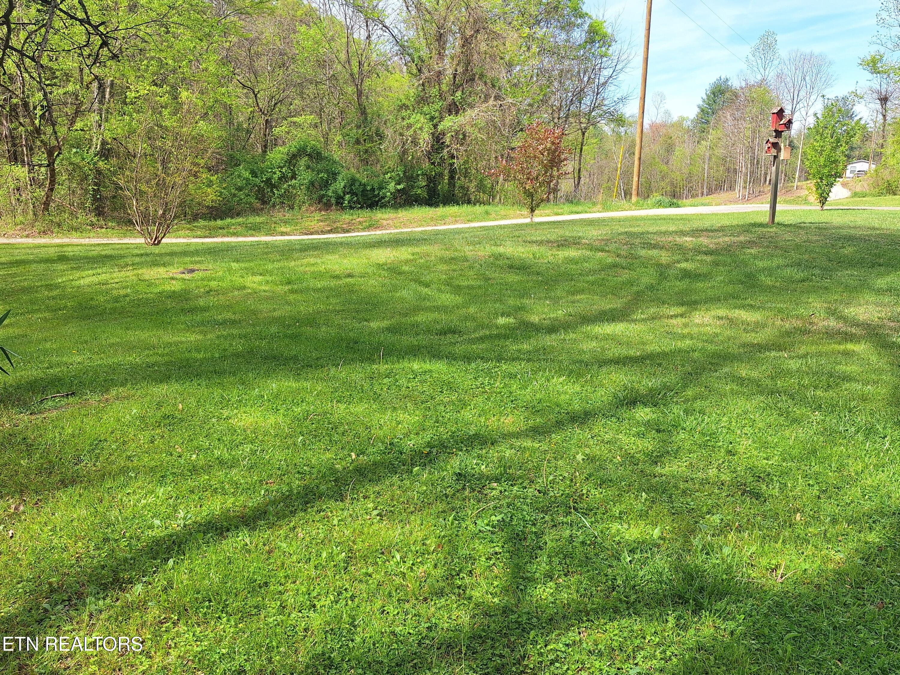 180 Walker Road Tellico Plains, TN 37385 - Photo 20 of 27 20260406_113251